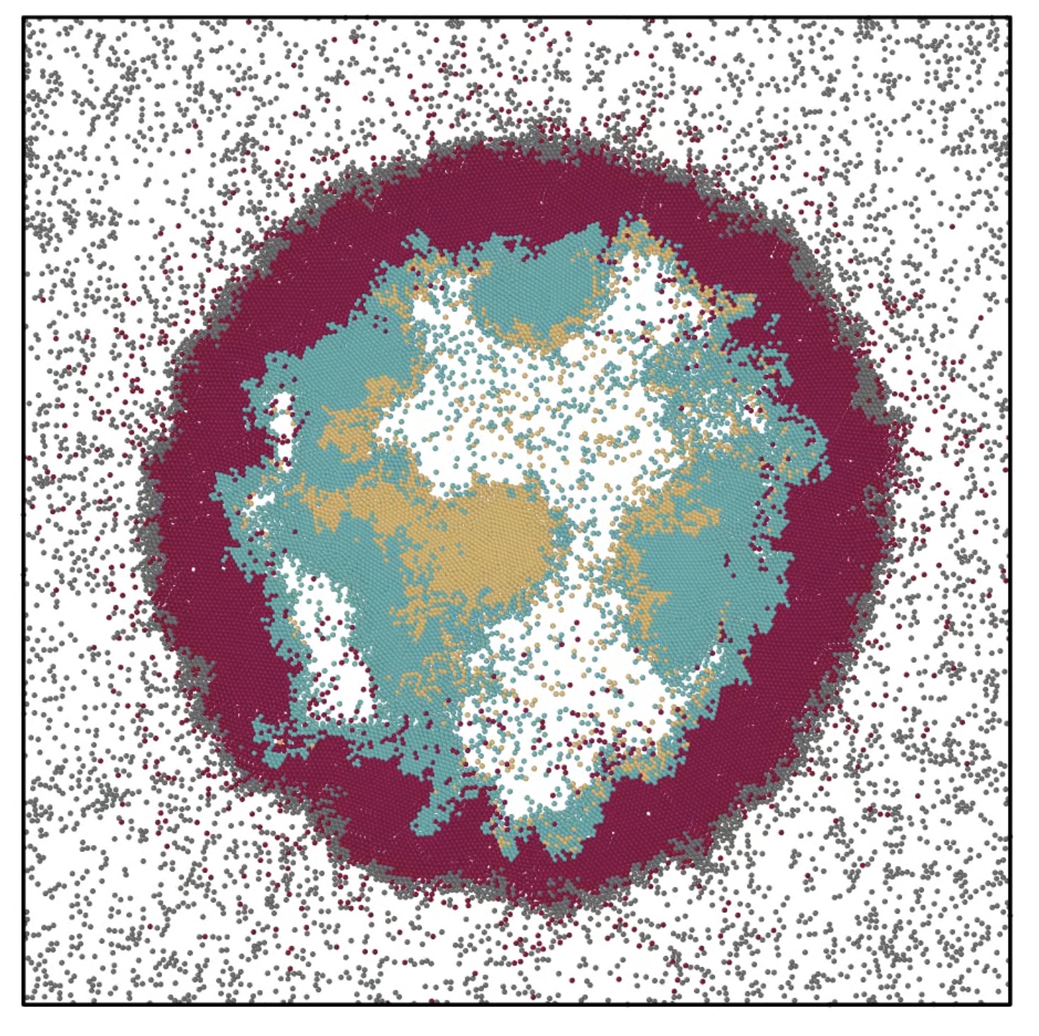 Four-phase pattern in multicomponent active matter