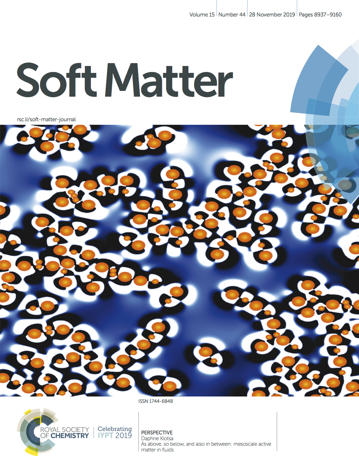 Soft Matter Invited perspective